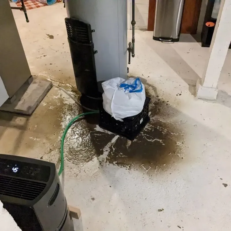 Sewage Backup Cleanup Service in Bartlett, TN